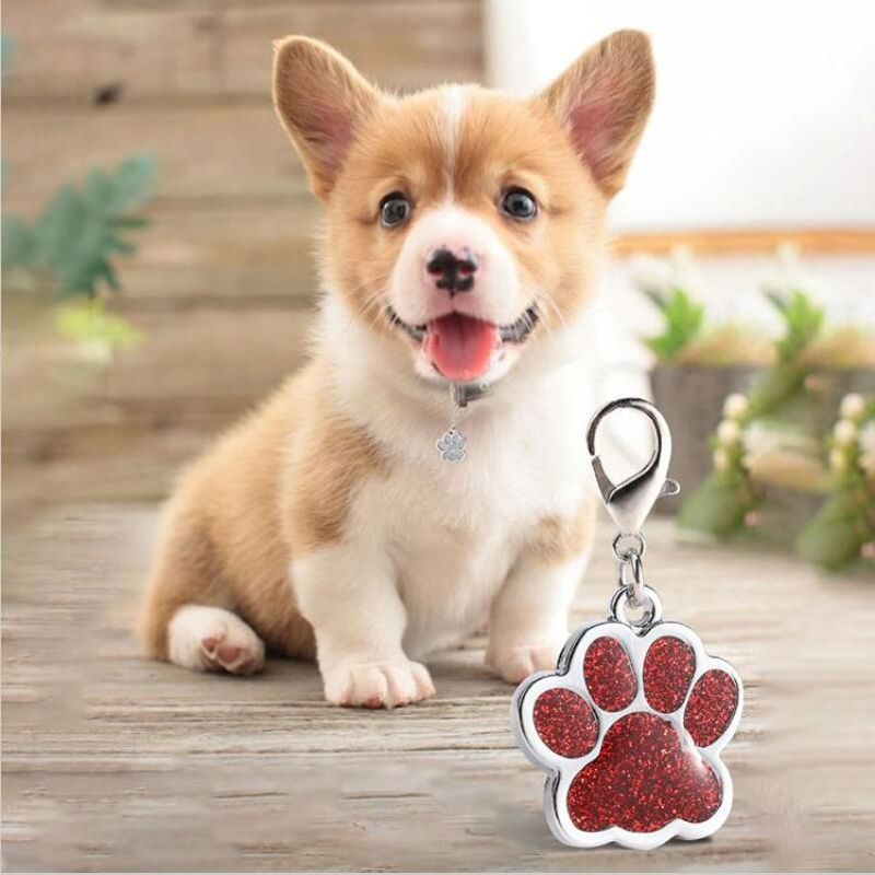 Dog Tag